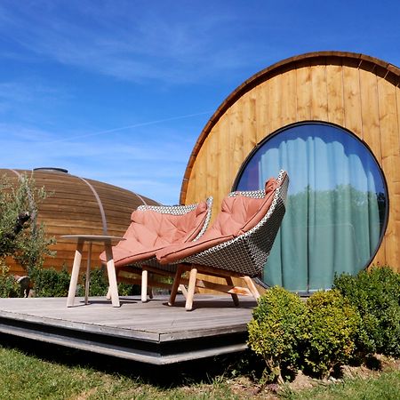 Pacheca The Wine House Hotel E Spa - Quinta Da Pacheca Ламего Екстериор снимка Wine Hotel