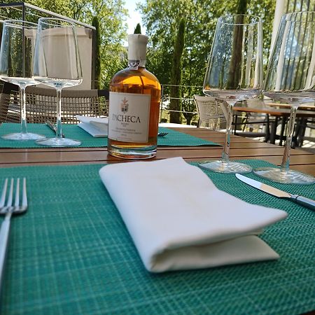 Pacheca The Wine House Hotel E Spa - Quinta Da Pacheca Ламего Екстериор снимка A bottle of grappa