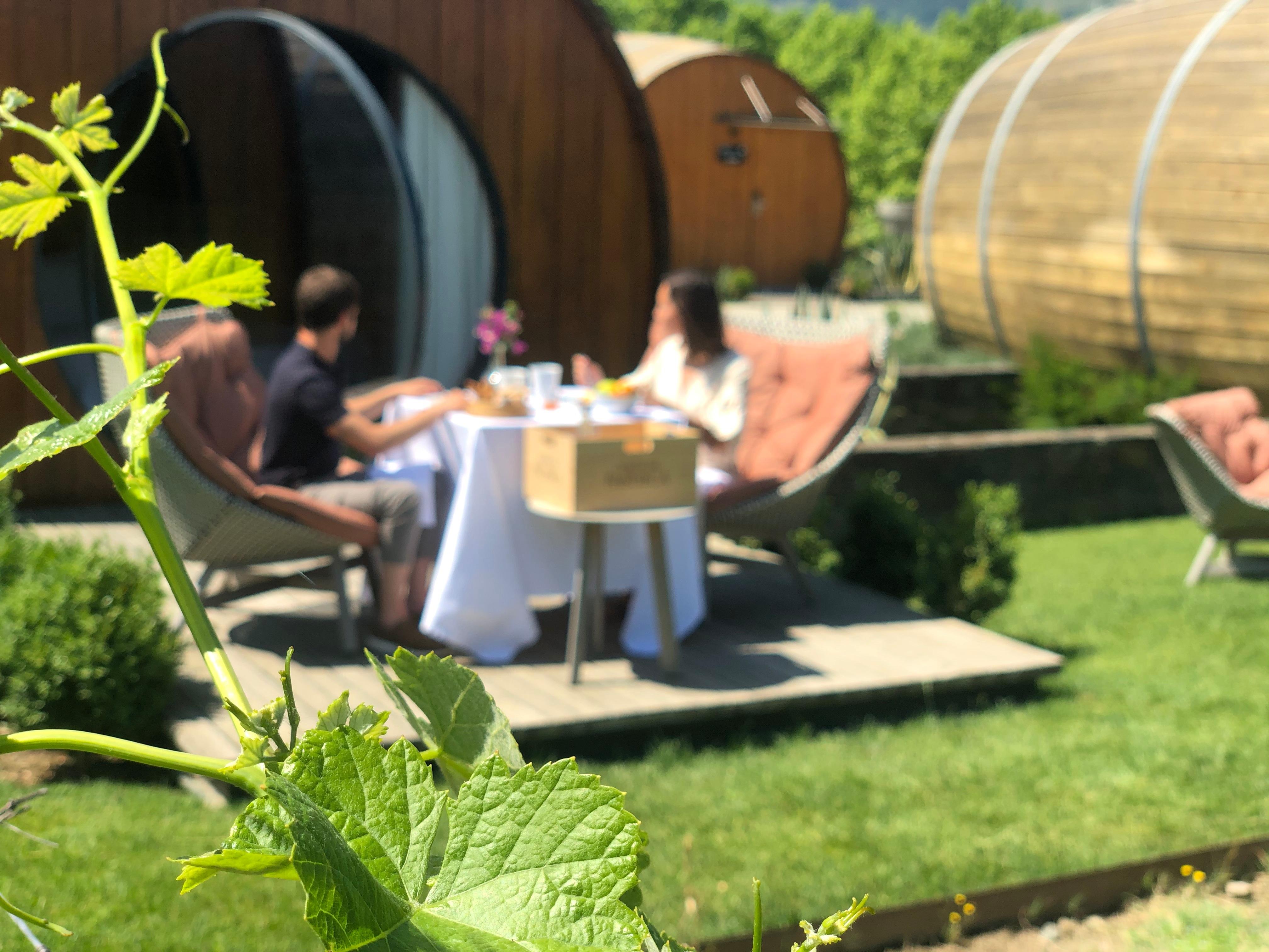 Pacheca The Wine House Hotel E Spa - Quinta Da Pacheca Ламего Екстериор снимка Wine tasting at the winery