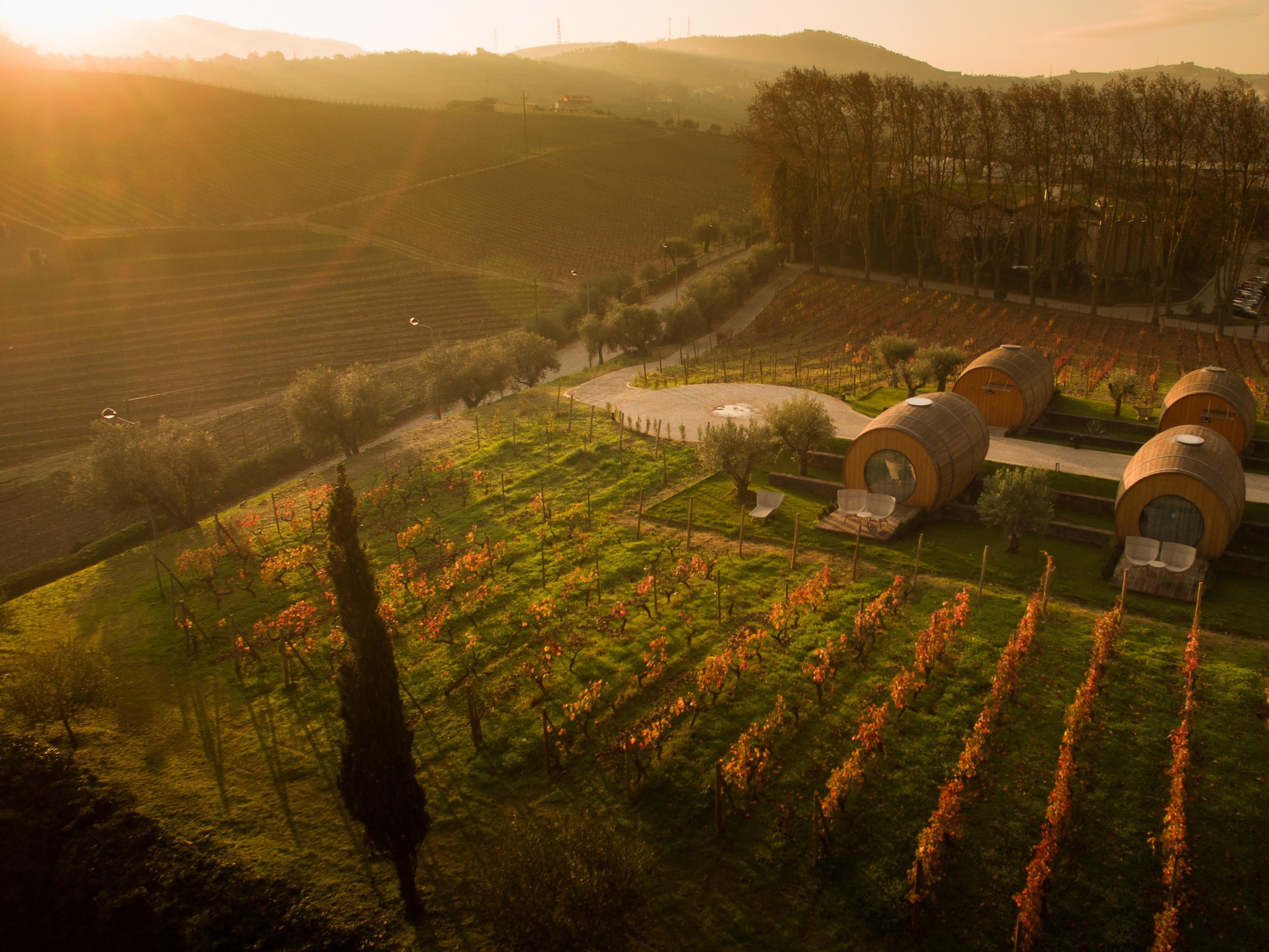 Pacheca The Wine House Hotel E Spa - Quinta Da Pacheca Ламего Екстериор снимка Vineyards in the Tokaji region